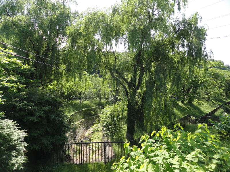 img0003.jpg