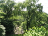 img0003.jpg