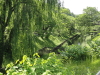 img0004.jpg