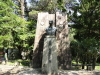 img0009.jpg