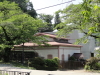 img0010.jpg
