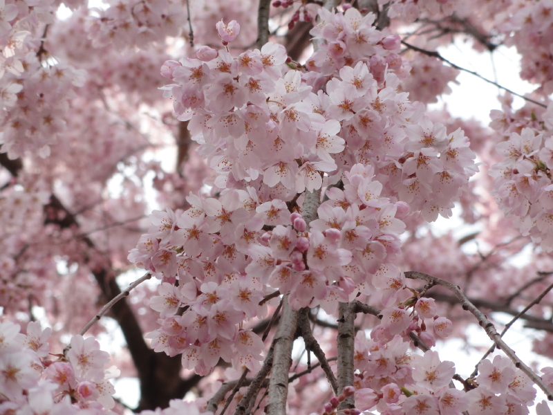 img0002.jpg
