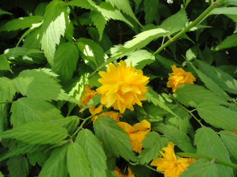 img0030.jpg