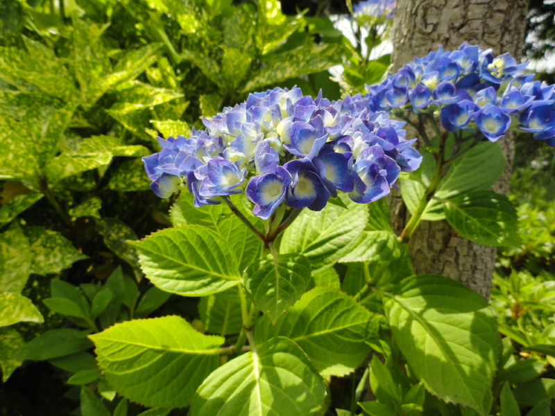 img0092.jpg