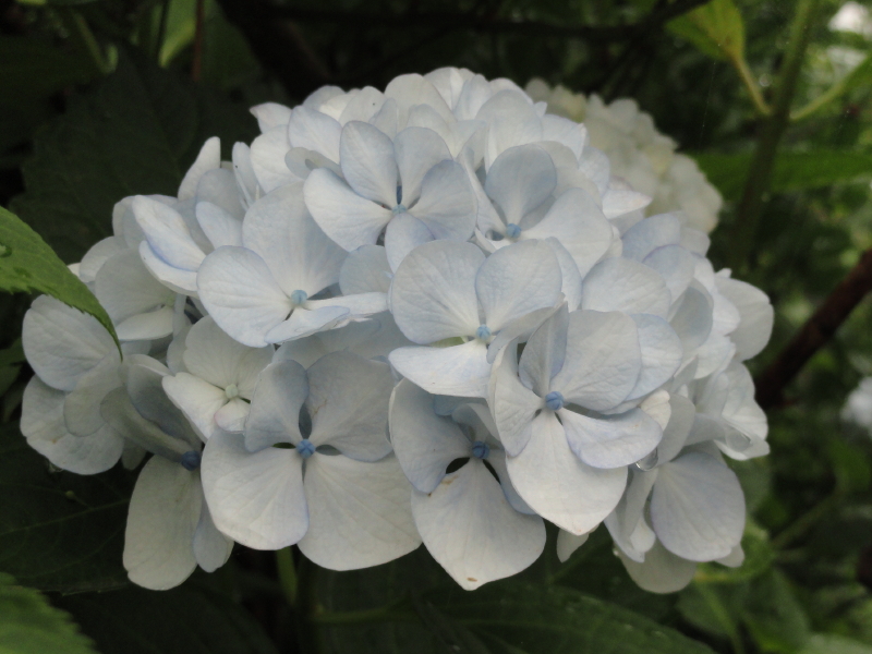 img0108.jpg