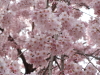 img0002.jpg