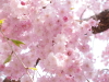 img0018.jpg