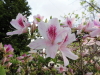 img0023.jpg