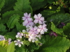 img0057.jpg