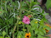 img0070.jpg