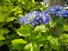 img0092.jpg