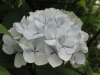 img0108.jpg