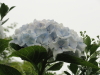img0112.jpg