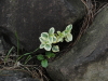 img0117.jpg