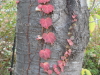 img0123.jpg