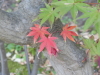 img0124.jpg