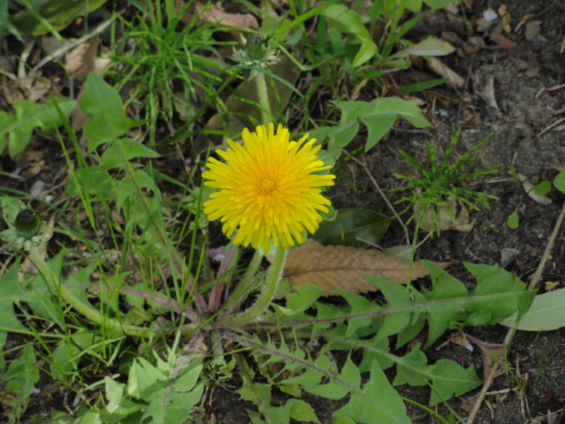 img0020.jpg