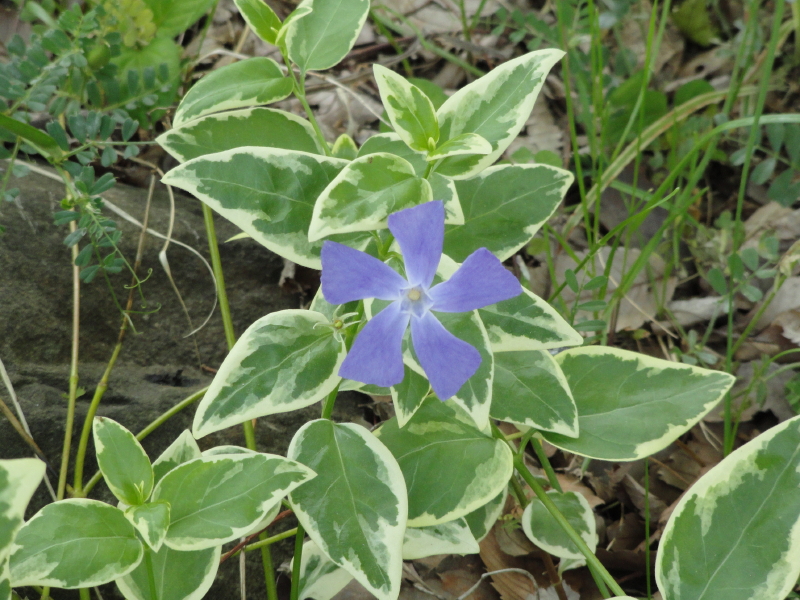 img0034.jpg