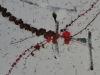 img0004.jpg