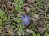 img0018.jpg