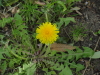 img0020.jpg
