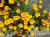 img0032.jpg