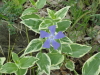img0034.jpg
