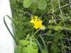 img0041.jpg