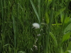 img0042.jpg