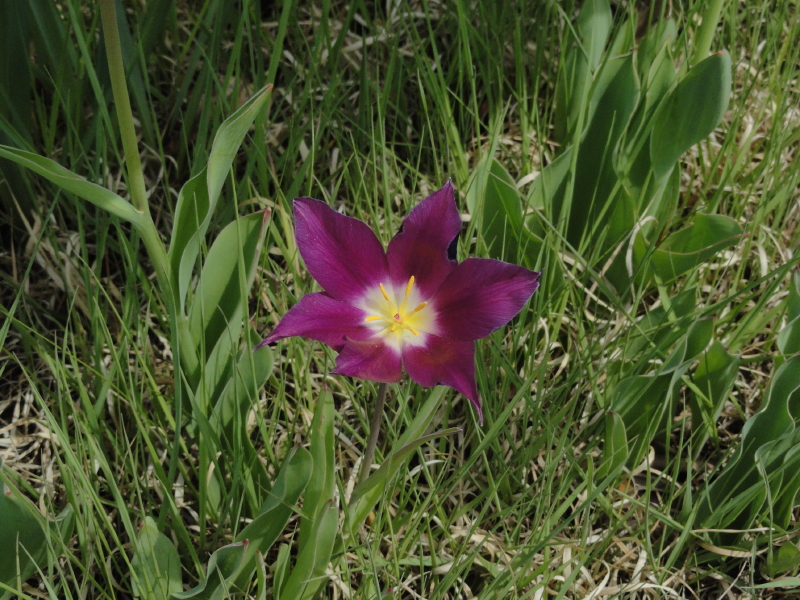 img0032.jpg