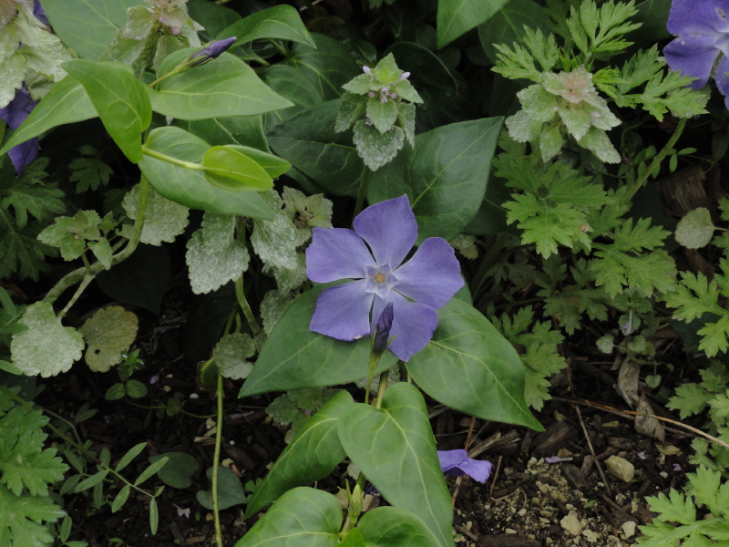 img0037.jpg