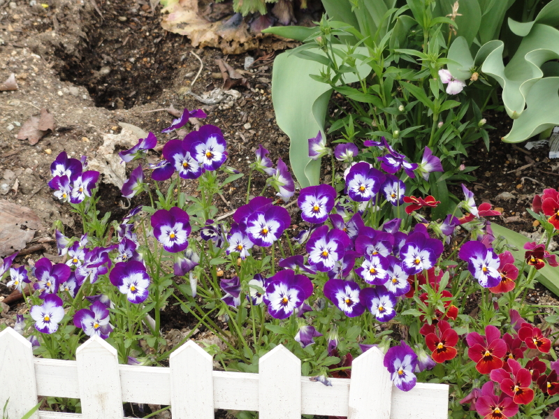 img0040.jpg