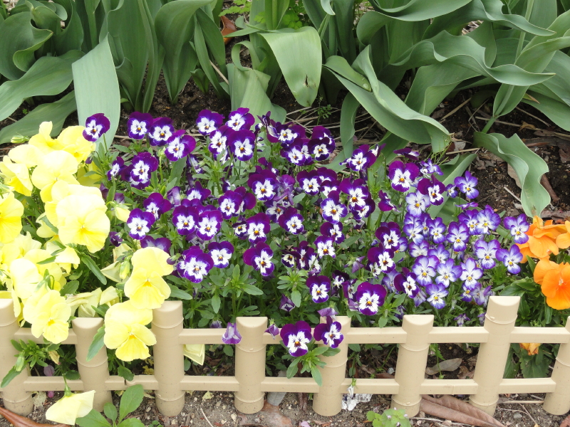 img0042.jpg