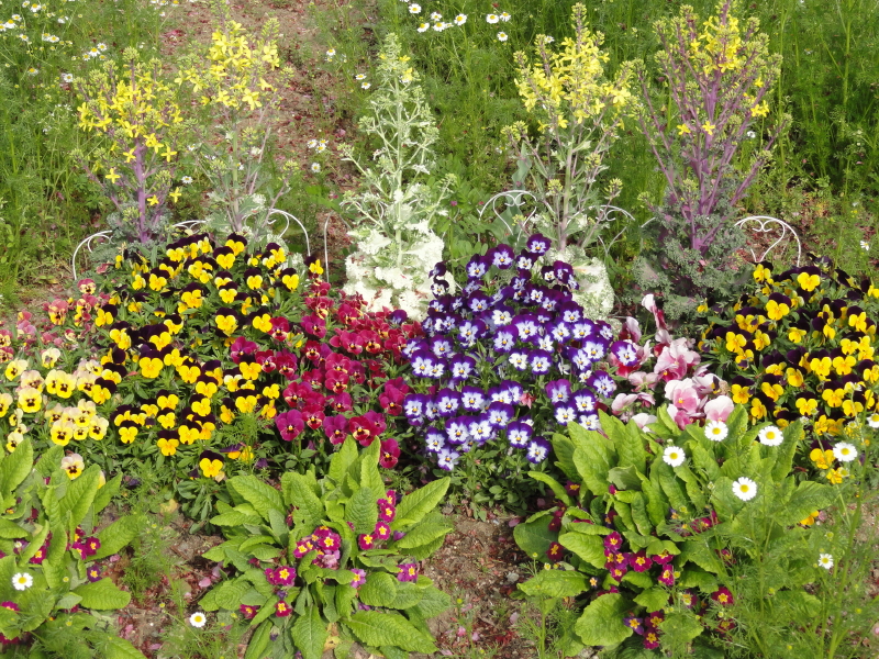 img0045.jpg