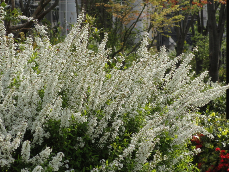 img0059.jpg