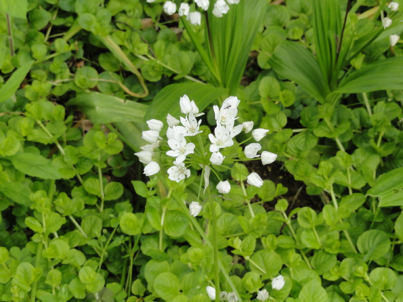 img0092.jpg