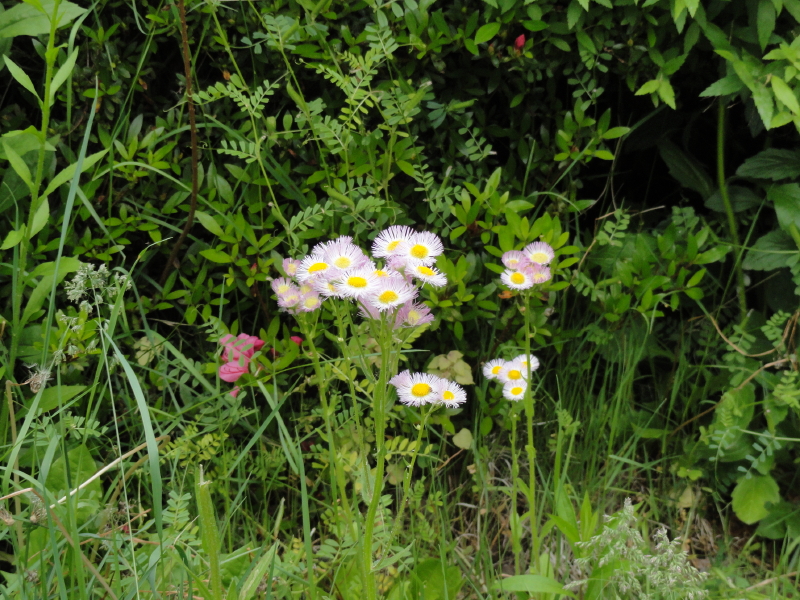 img0112.jpg