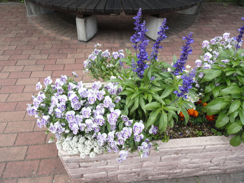 img0133.jpg