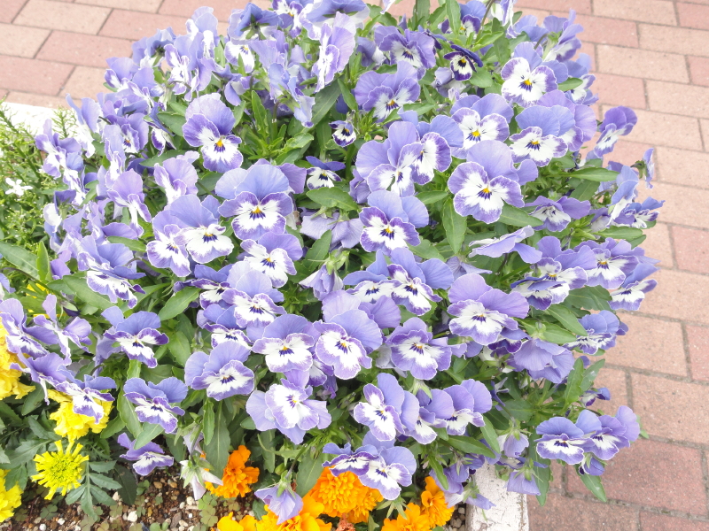img0134.jpg