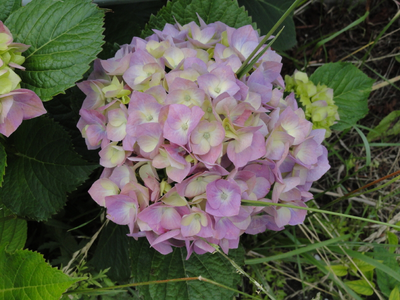 img0154.jpg