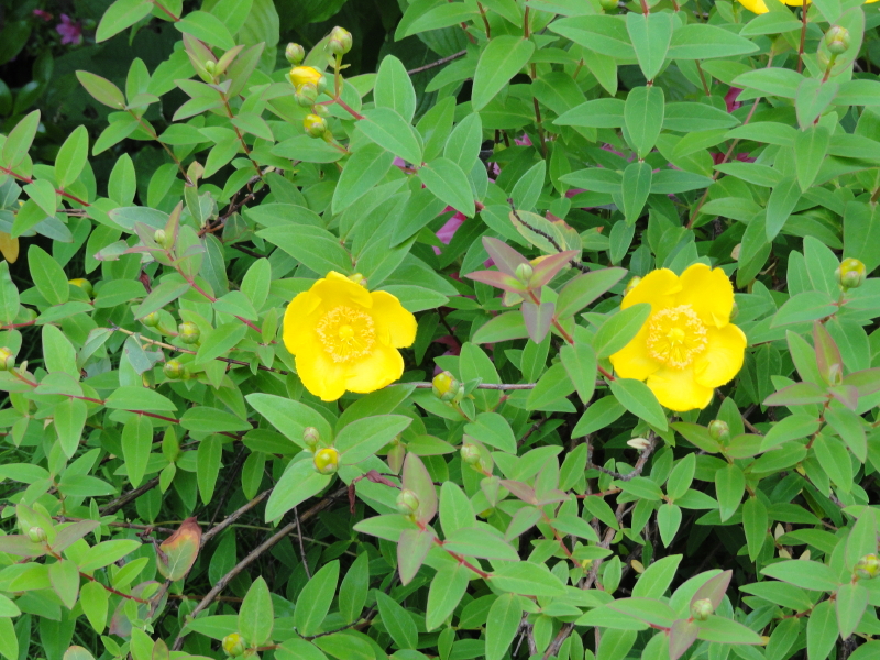img0163.jpg