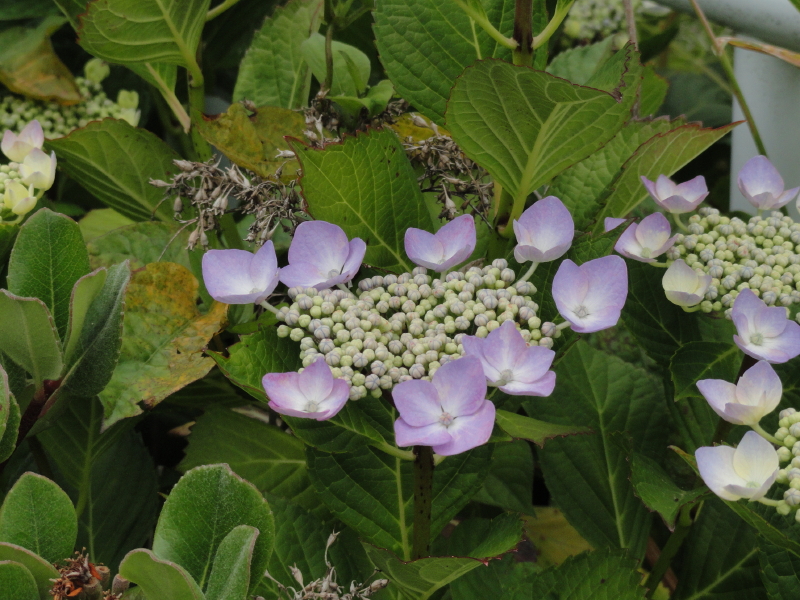 img0193.jpg