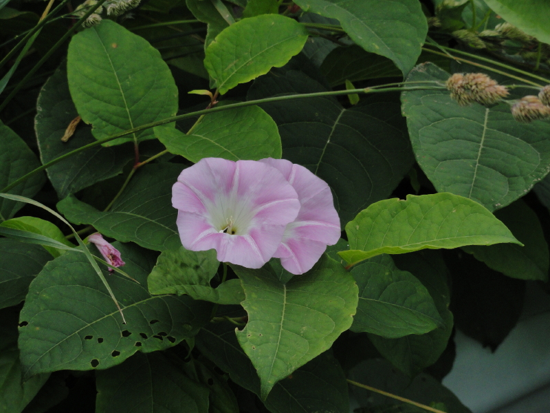 img0200.jpg