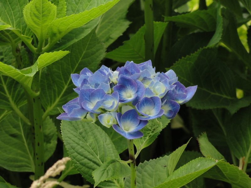 img0214.jpg