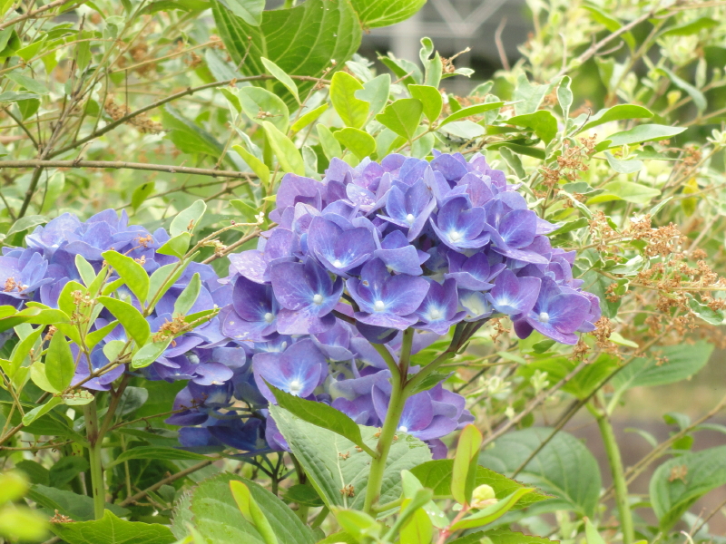 img0224.jpg