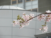 img0004.jpg