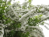 img0024.jpg