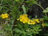 img0028.jpg