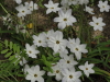 img0031.jpg