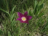 img0032.jpg